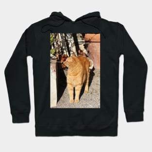 How the world smells Cat Portrait Hoodie